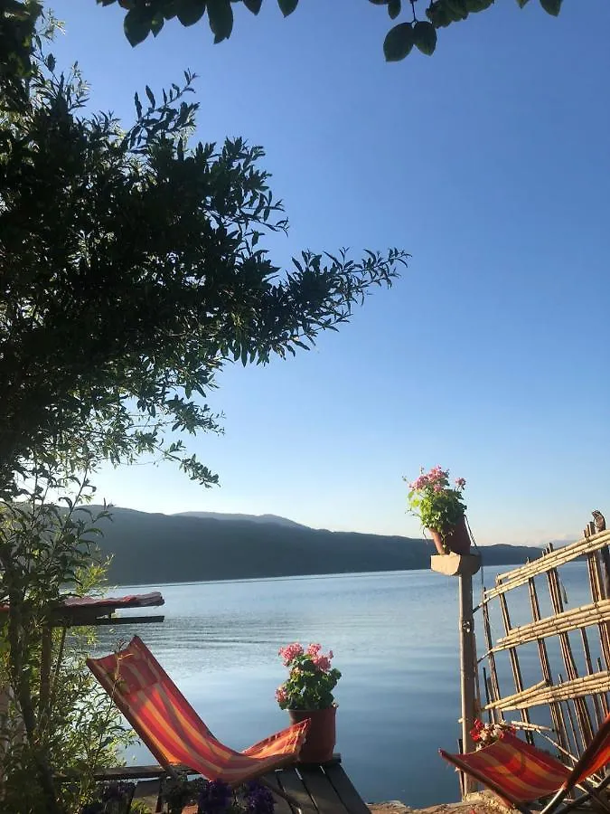 Rosas Home Lini 0*,  Albania