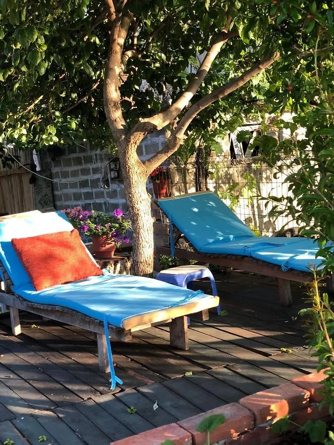 Rosas Home Lini Albania