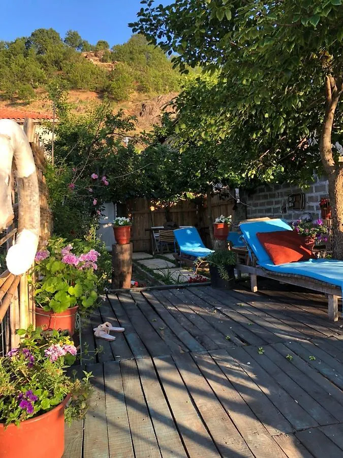 Guest house Rosas Home Lin